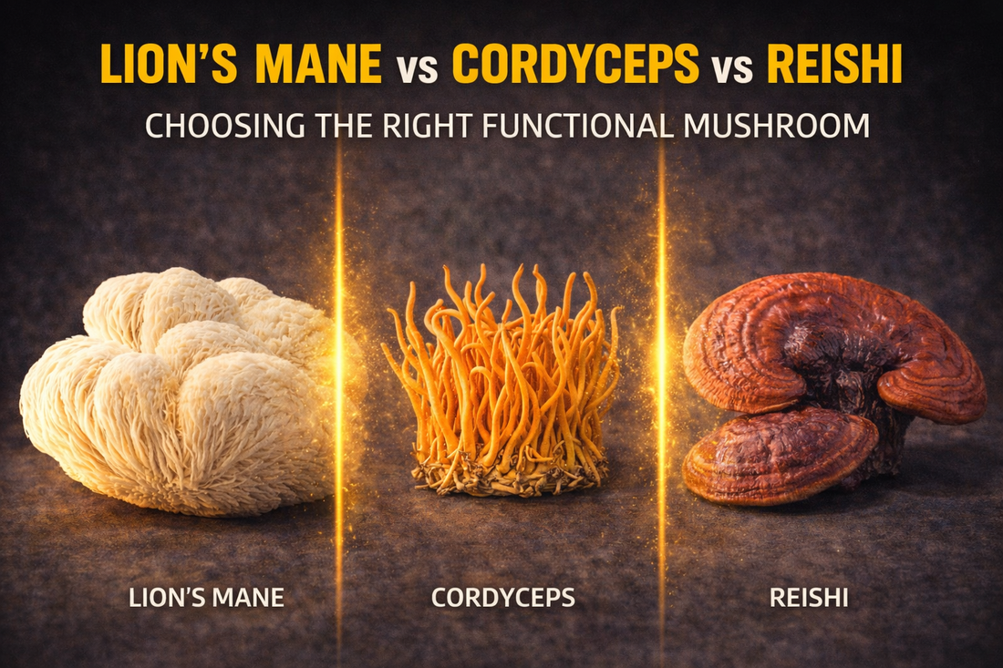 Lion's Mane vs Cordyceps vs Reishi: Choosing the Right Functional Mushroom
