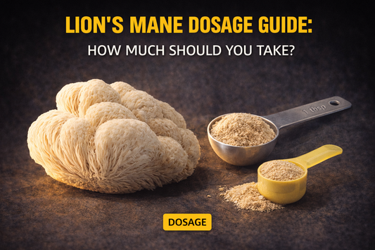 Lion's Mane Dosage Guide: How Much Should You Take?