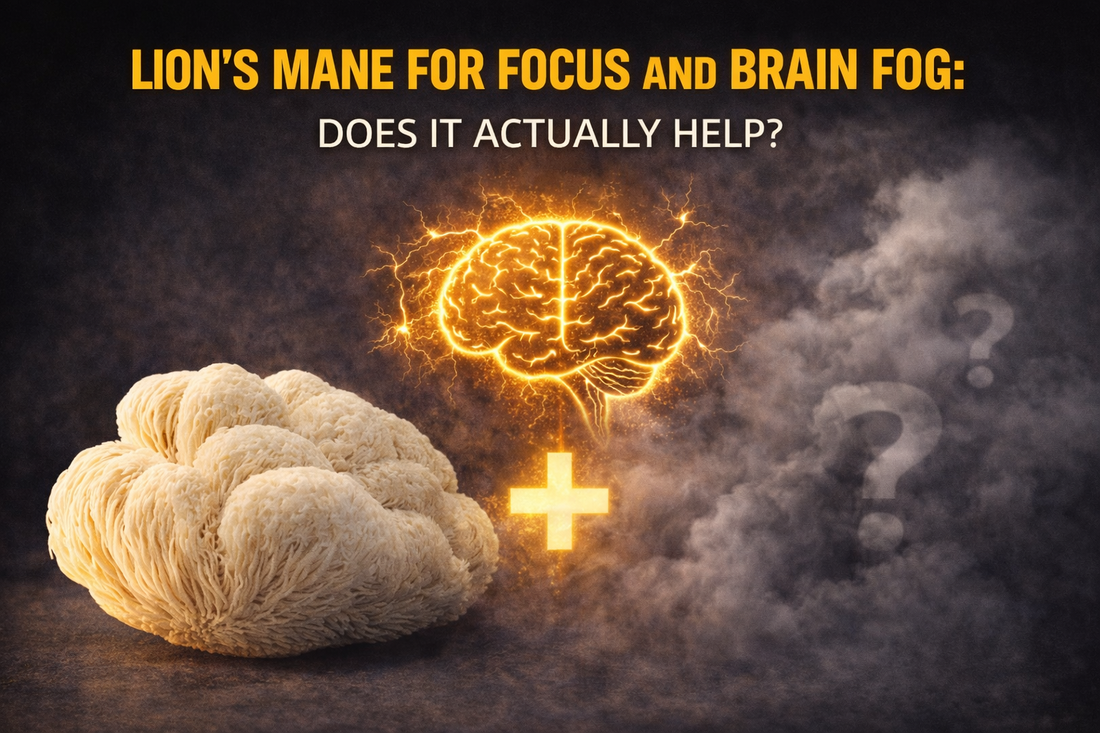 Lion's Mane for Focus and Brain Fog: Does It Actually Help?