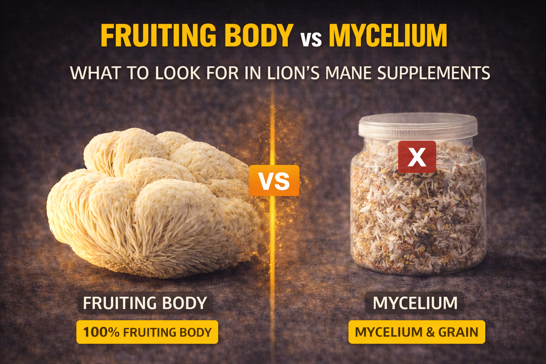 Fruiting Body vs Mycelium: What to Look For in Lion's Mane Supplements