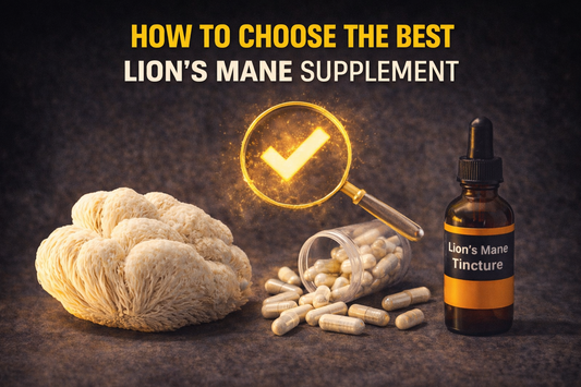 How to Choose the Best Lion's Mane Supplement