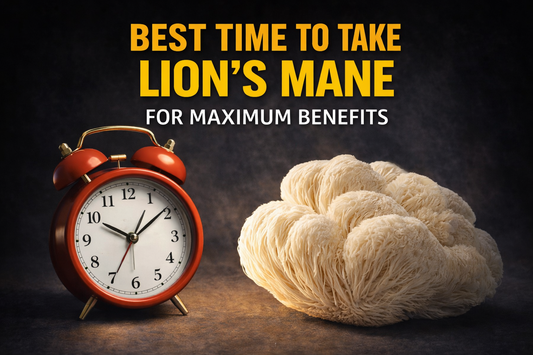 Best Time to Take Lion's Mane for Maximum Benefits
