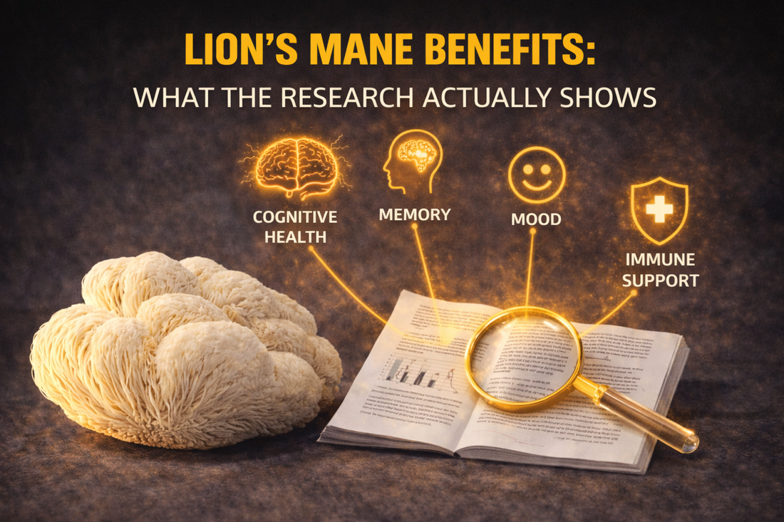 Lion's Mane Benefits: What the Research Actually Shows